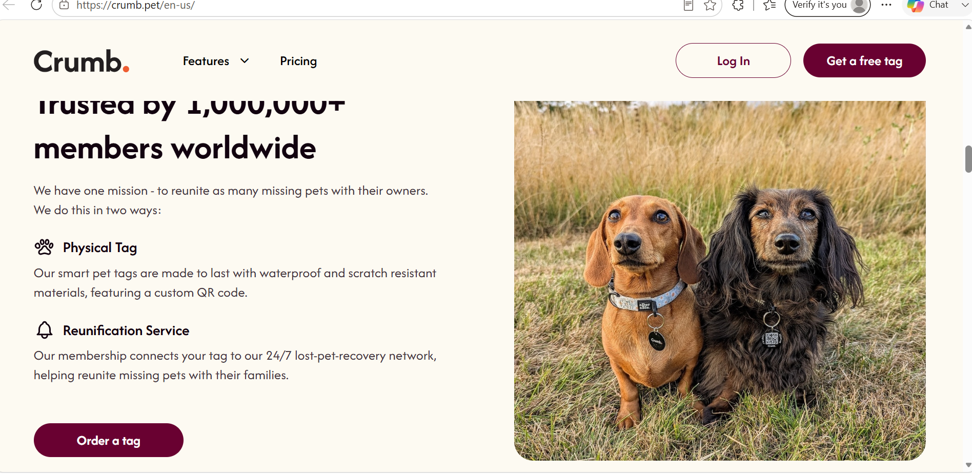 Crumb review – Cost, Use Cases & Alternatives [2026]