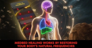 Tesla MedBed X Review: What You Should Know