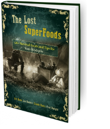 The Lost SuperFoods Review: Is It Worth Buying?