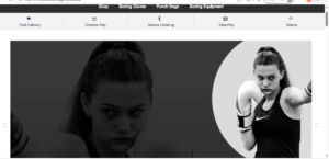 The Boxing Gloves Reviews