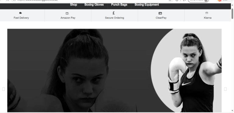 The Boxing Gloves Reviews